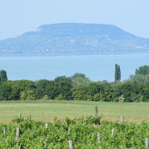 Viktor Bor- és Vendégház**** Balatonmáriafürdő Kültér fotó